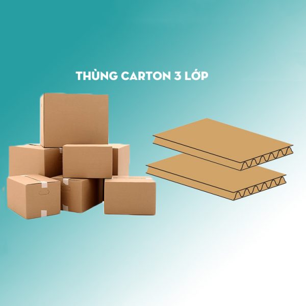 Thùng Carton 3 Lớp Bình Dương